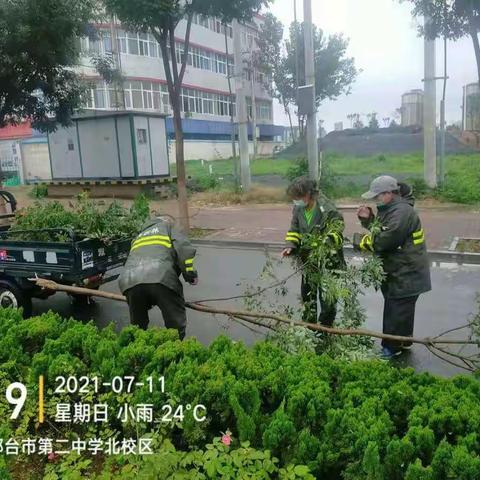 应对强降雨天气，园林职工全力抢险保障道路畅通