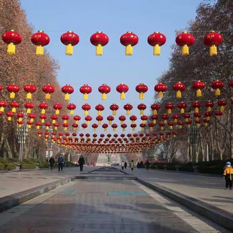 大红灯笼高高挂，张灯结彩迎新春