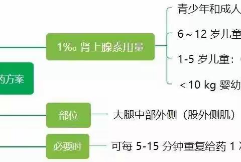 过敏性休克抢救