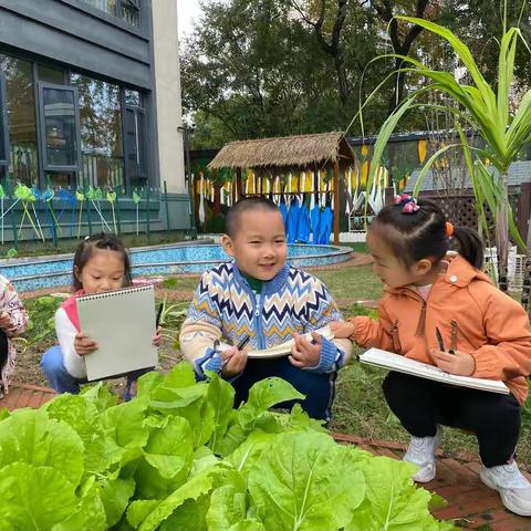 兔子的秘密——尹山湖实验幼儿园独墅湾分园大（1）班