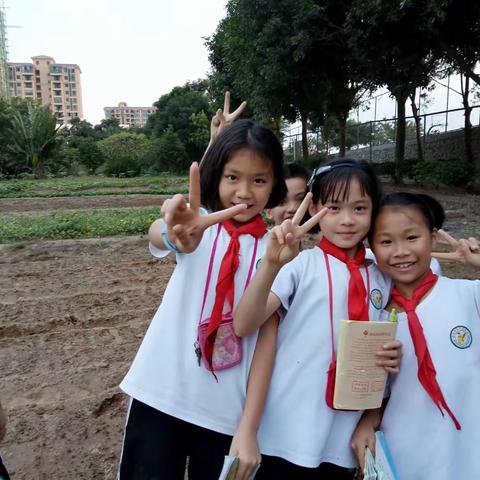 会种花的小蜗牛