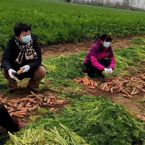 马牧镇  助农促销 为民解忧