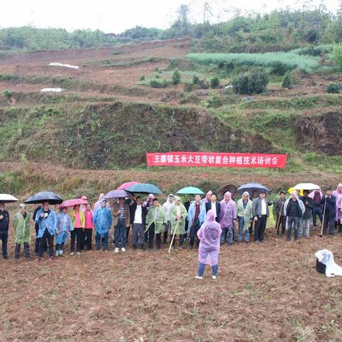 王寨镇召开玉米大豆复合种植技术培训会