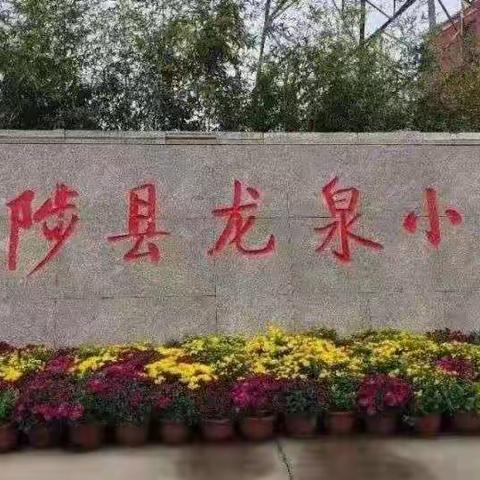 教研之花  迎春绽放——龙泉中心校教研活动纪实