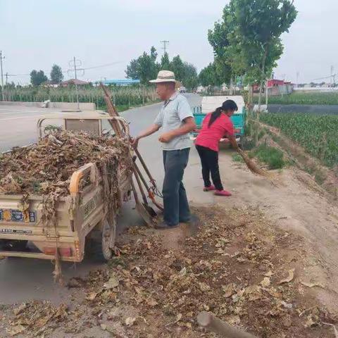 曲周县白寨镇人居环境整治进行中