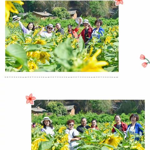 我们都是向阳花🌻