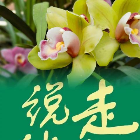 期盼说走就走的旅行（之一）