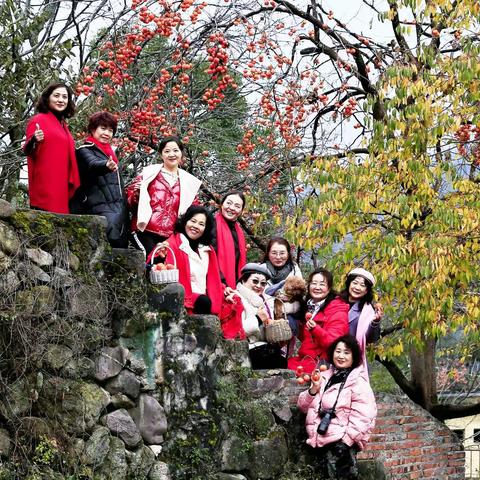 安哈柿子红了，愿大家来年柿柿如意