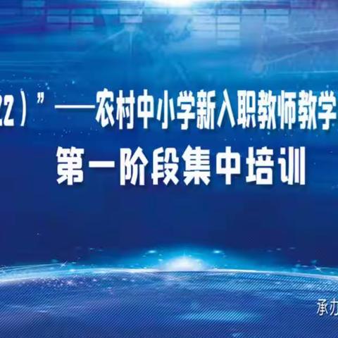 🌻［专家引路明方向，学思并进共成长］🌻