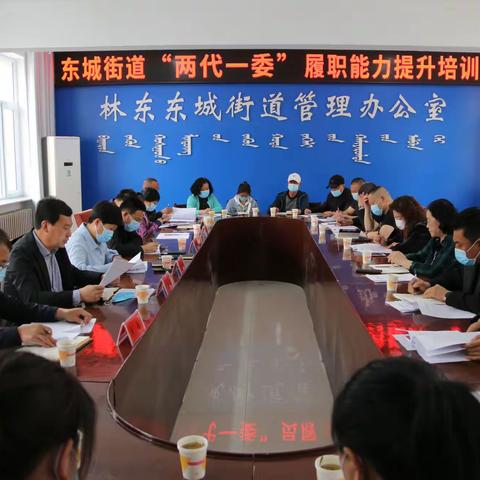 巴林左旗东城街道组织开展“两代一委”履职能力提升培训会