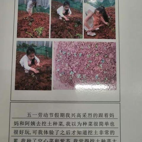 美好生活，劳动创造——五一实践活动优秀作品展示