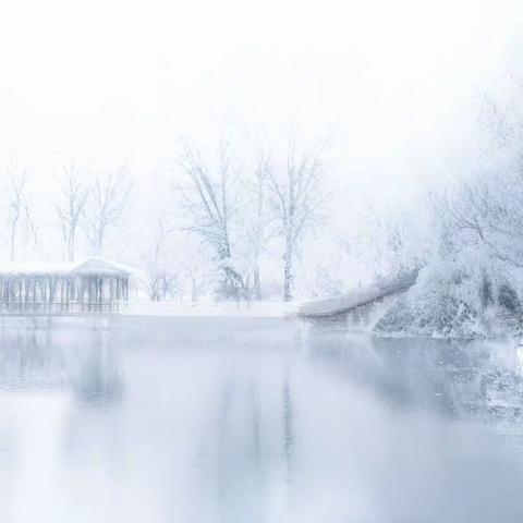 初冬第一场雪