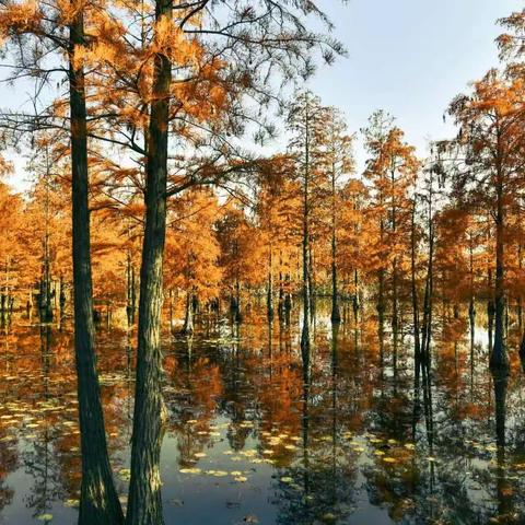 金陵秋韵之旅（Day7）