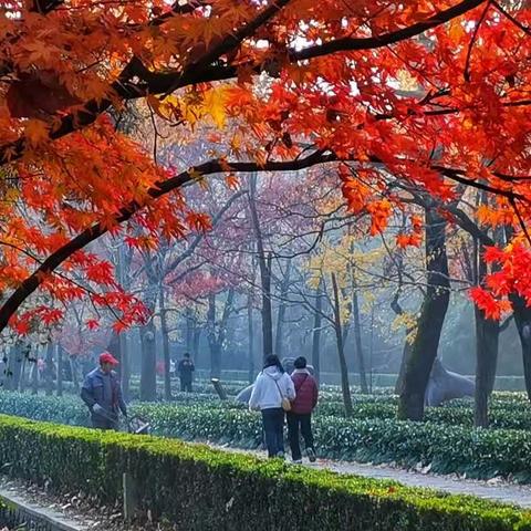 金陵秋韵之旅（Day3）