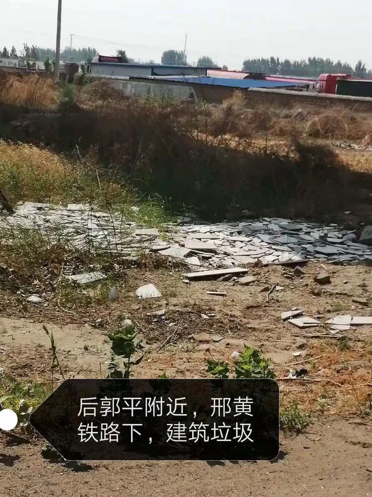 南和县农村人居环境整治工作领导小组 关于邢临高速等沿线环境整治
