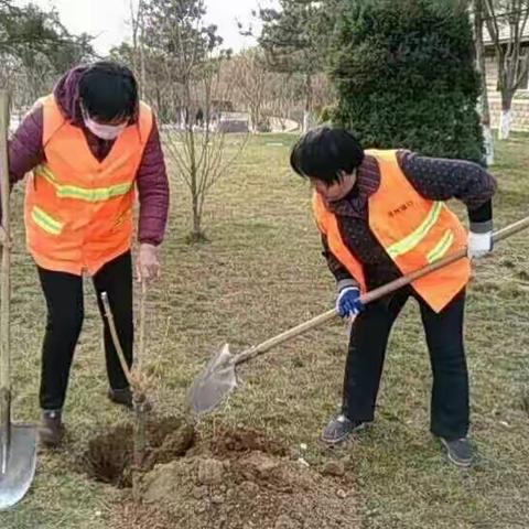 提升园林品味 打造精品游园——市规划城管局