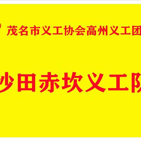 沙田赤坎义工协助赤坎村委会开展人居环境治理活动！