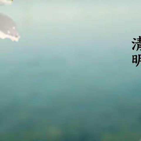 幼儿园——清明节系列主题活动