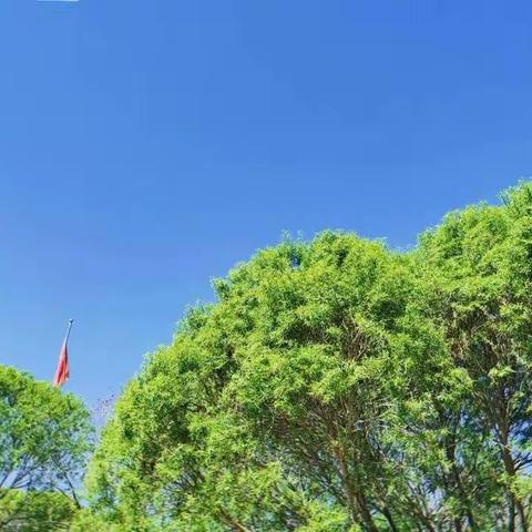 心有所往，未来可期--喀什市色满乡3村小学期末总结