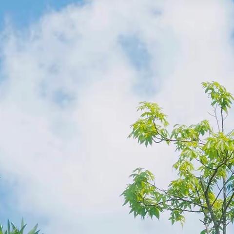 立志宜思 力学修身——记新区一小语文线上教研