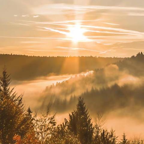 初冬暖阳，教研飞扬——记新区一小网络语文线上教研