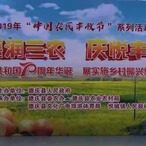 德庆“中国农民丰收节”在悦城举办