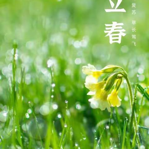 立春——和孩子们一起“迎接春天”吧！