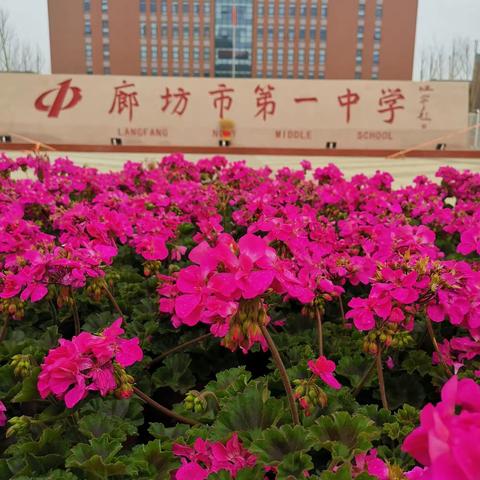 月考后的精准一对一