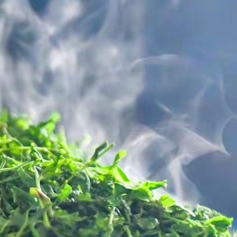 大山里的天然手工茶