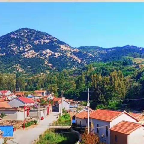 第一书记魏珉助力乡村振兴——黑山村小型田园综合体建设中