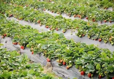 艾山支行“相约春天，绽放亲情”女神节亲子活动