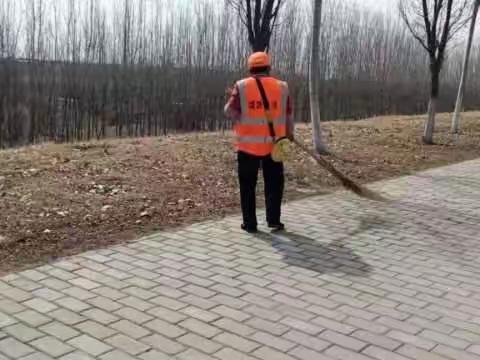 渭河高陵段堤防维修养护工作进展情况