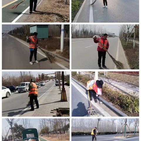 渭河高陵段堤防维修养护工作进展情况