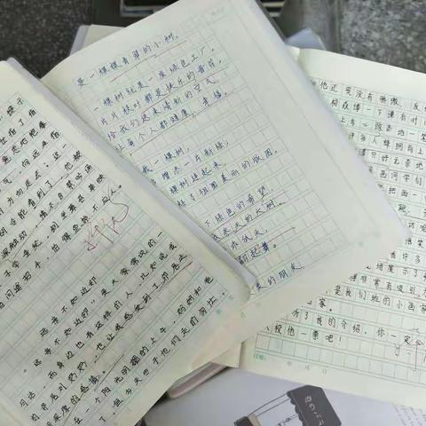 源头活水，润物无声——明星小学常规作业检查