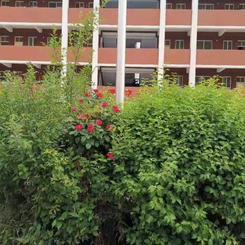 作业展览促实效      教案展评亮风采——沿河湾镇中心小学教案作业展评活动