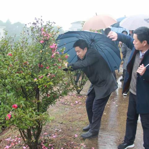 产业扶贫项目，省际交叉检查