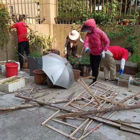 创建文明城市持续进行中