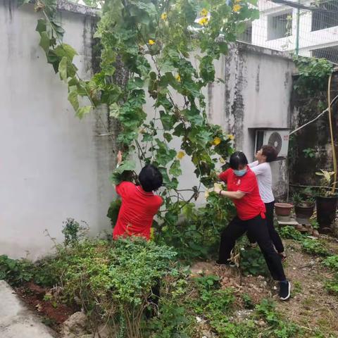 横阳社区创城进行时