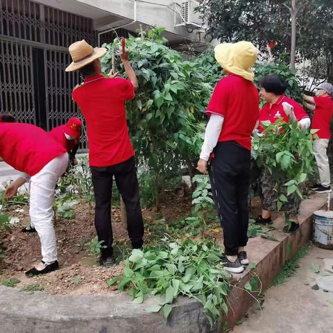 横阳社区开展环境卫生清洁活动