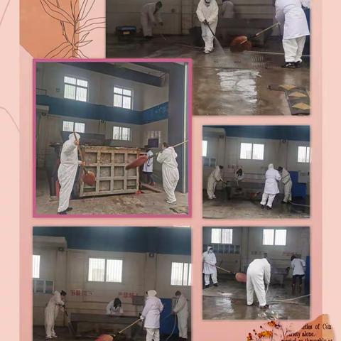 复兴区城管局汽车一队喜迎新春干干净净过大年