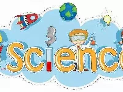 【居家科学小实验】不会倒的鸡蛋