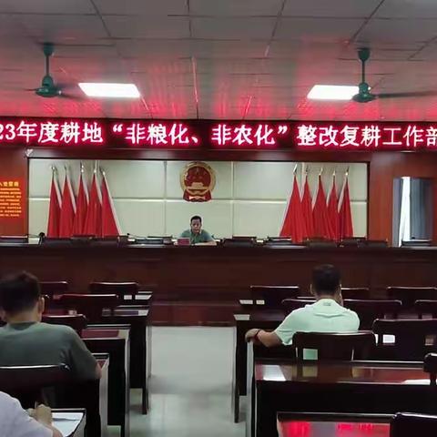 新州镇召开2023年度耕地‘‘非粮化、非农化’’整改复耕工作部署会
