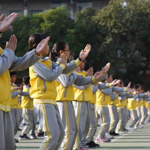 “非遗”文化进校园，培养小小传承人——联育小学“咏春拳”进校园活动