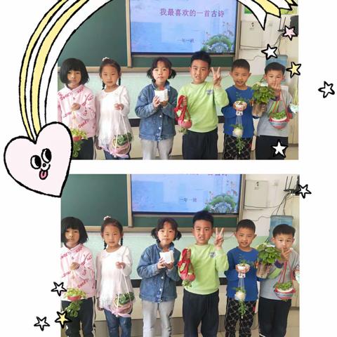 让希望播种，让梦想开花🌼 富邦小学 一年一班 蔬菜种植实践活动