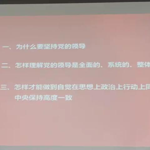 理论引导实践，筑梦新征程