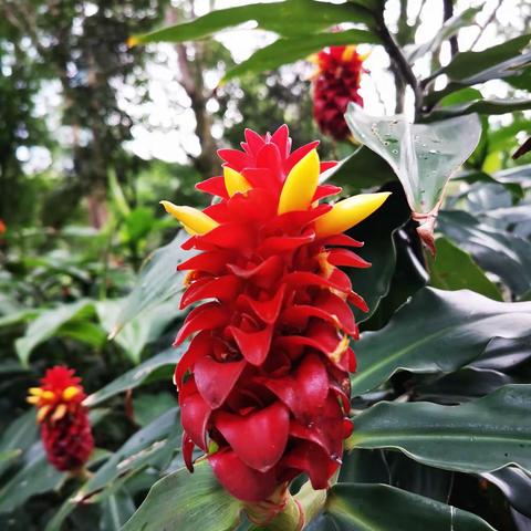 爱是传递，不是交换