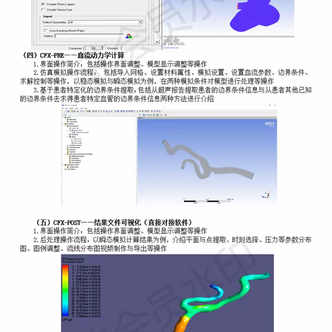 血流动力学及生物流体力学建模仿真技术实战班