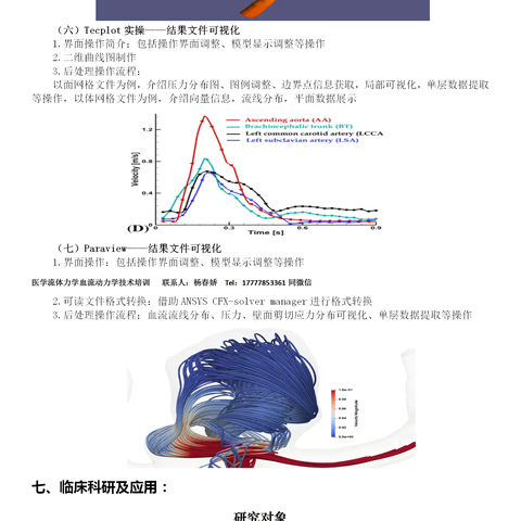 医学流体力学血流动力学仿真模拟计算临床应用