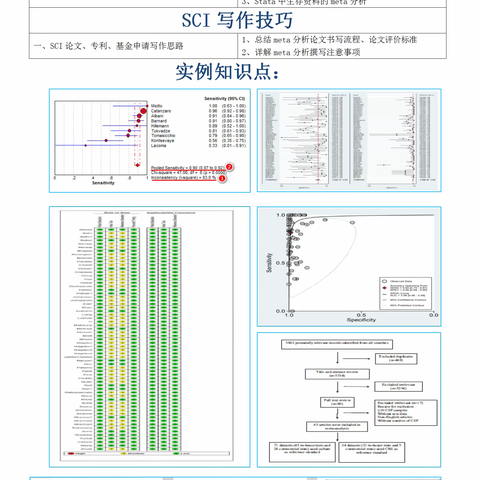 循证医学与Meta分析及临床应用培训班