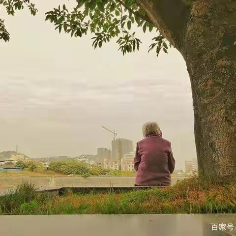 母亲讲给我们的故事